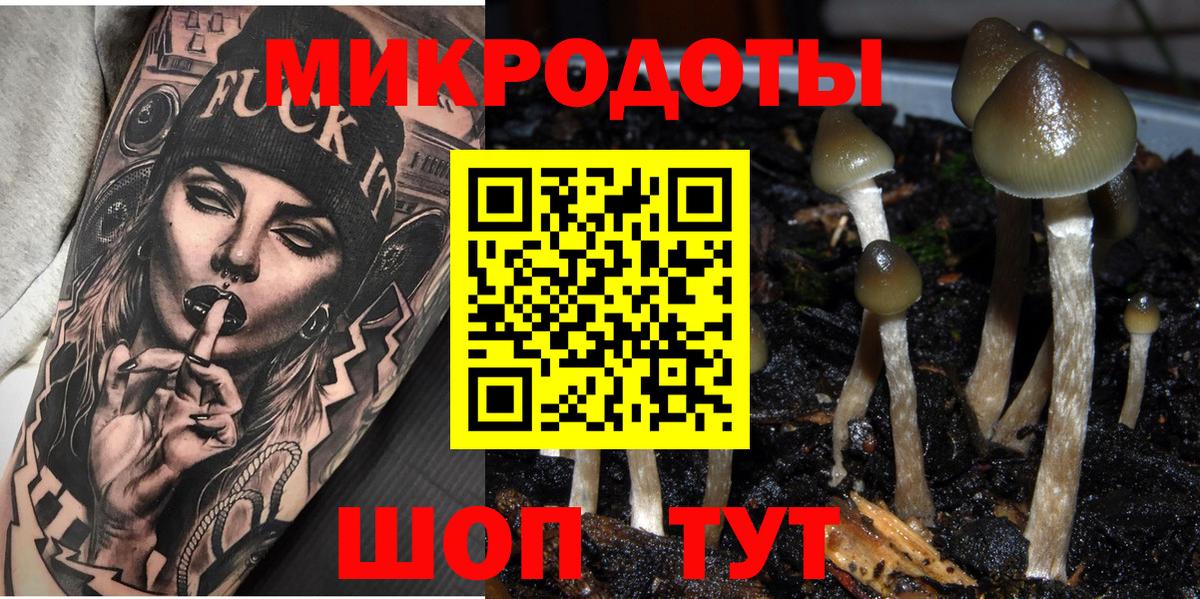 Псилоцибиновые грибы GOLDEN TEACHER  Галлюциногенные грибы MAGIC MUSHROOMS  Вход с VPN  Луга 
